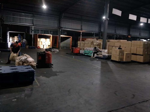 河南焦作至東莞物流專線 高效時(shí)效與貼心禮儀服務(wù)